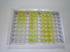 ELISA Kit for Mitochondrial Open Reading Frame Of The 12S rRNA-c (MOTS-c)