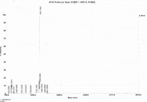 OVA Conjugated Meprin A Alpha (MEP1a)