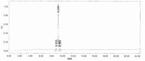 BSA Conjugated Anti-Mullerian Hormone (AMH)