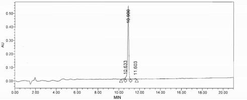 KLH Conjugated Copeptin (CPP)