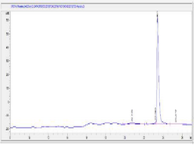 OVA Conjugated N-Terminal Pro-Brain Natriuretic Peptide (NT-ProBNP)