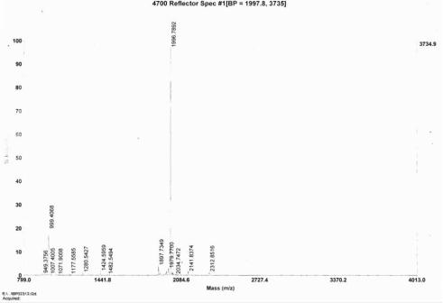 OVA Conjugated Brain Natriuretic Peptide (BNP)