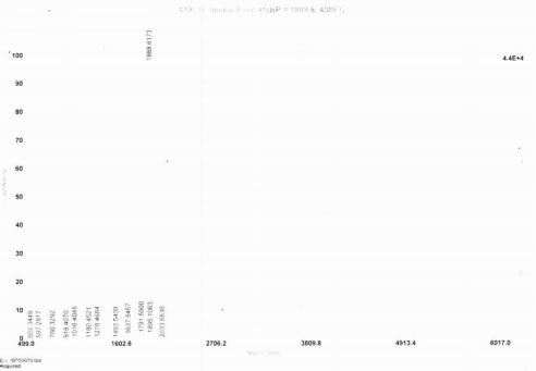 OVA Conjugated Epidermal Growth Factor (EGF)