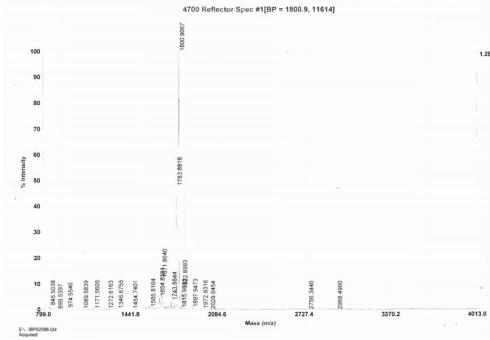 BSA Conjugated Cross Linked N-Telopeptide Of Type I Collagen (NTXI)