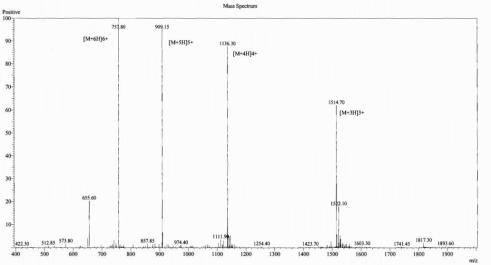 BSA Conjugated Adrenocorticotropic Hormone (ACTH)