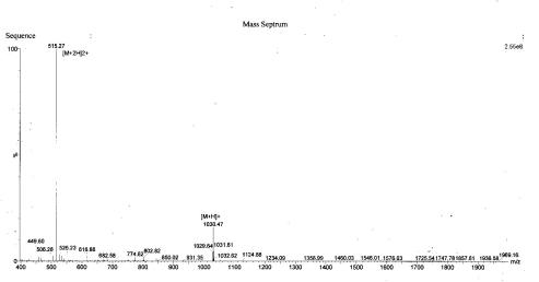 BSA Conjugated Parathyroid Hormone (PTH)