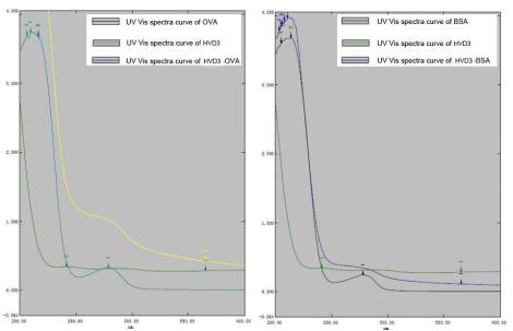 OVA Conjugated 25-Hydroxyvitamin D3 (HVD3)