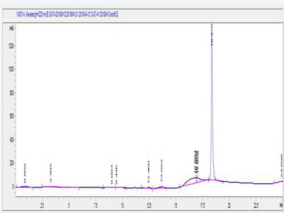 OVA Conjugated Chemokine C-X-C-Motif Receptor 6 (CXCR6)