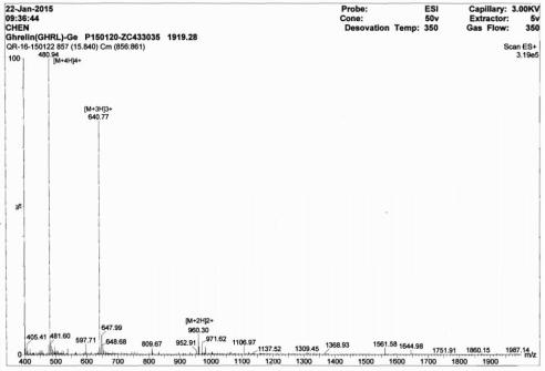 BSA Conjugated Ghrelin (GHRL)