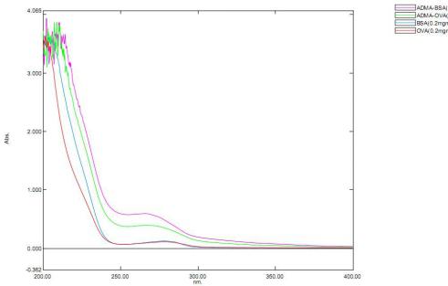 OVA Conjugated Asymmetrical Dimethylarginine (ADMA)