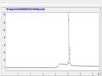 OVA Conjugated p53 Upregulated Modulator Of Apoptosis (PUMA)