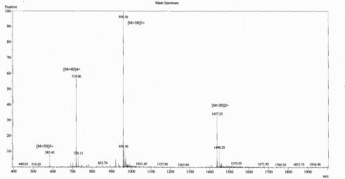 OVA Conjugated Urocortin 2 (UCN2)