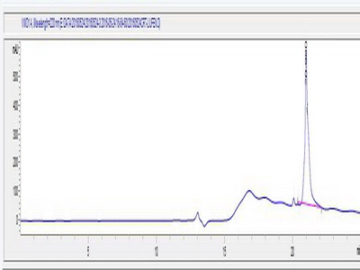 OVA Conjugated Creatine Transporter (CRT)