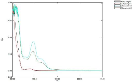 BSA Conjugated Ofloxacin (OFX)