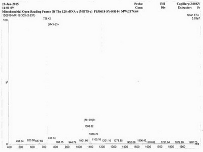 OVA Conjugated Mitochondrial Open Reading Frame Of The 12S rRNA-c (MOTS-c)