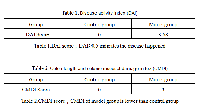 Rat Model for Colitis