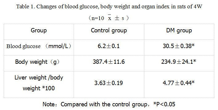 Rat Model for Diabetes Mellitus (DM)