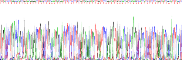 Eukaryotic Interferon Alpha (IFNa)