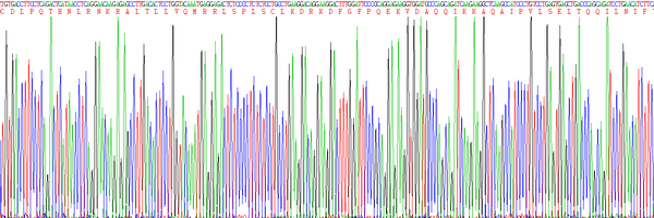 Eukaryotic Interferon Alpha (IFNa)