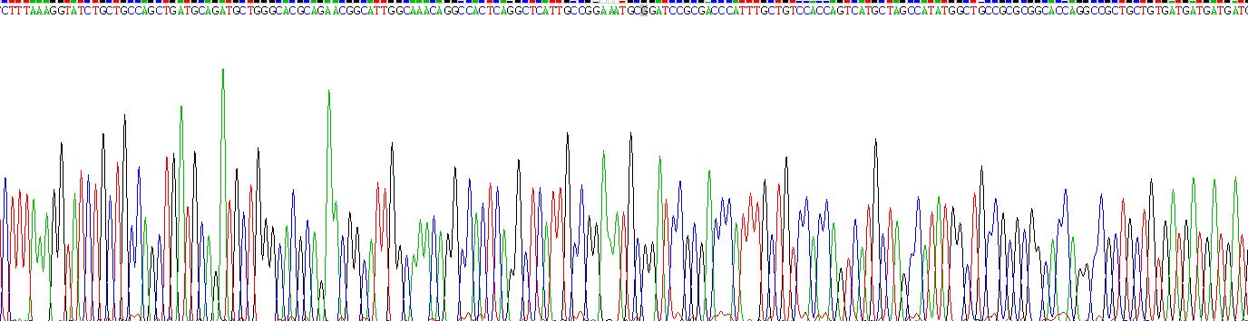 Eukaryotic Growth Hormone (GH)