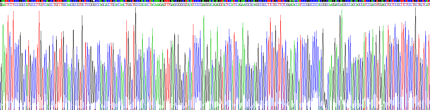 Eukaryotic Growth Hormone (GH)