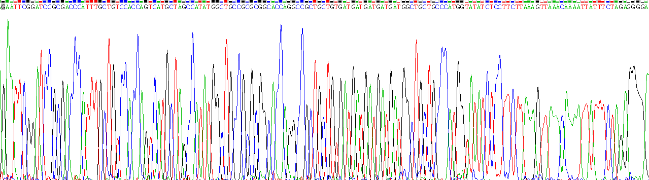 Eukaryotic Growth Hormone (GH)