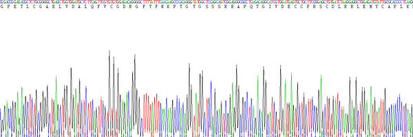 Eukaryotic Insulin Like Growth Factor 1 (IGF1)