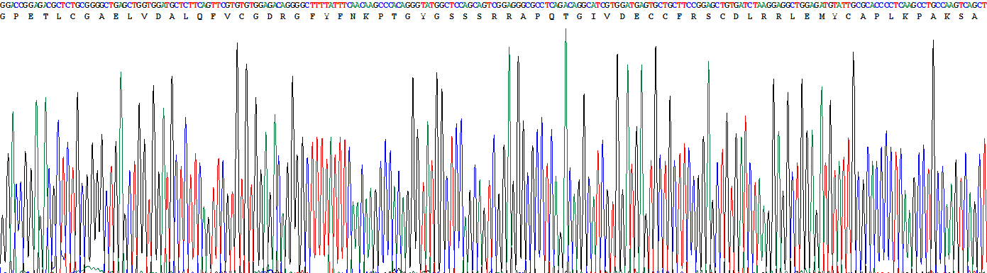 Eukaryotic Insulin Like Growth Factor 1 (IGF1)