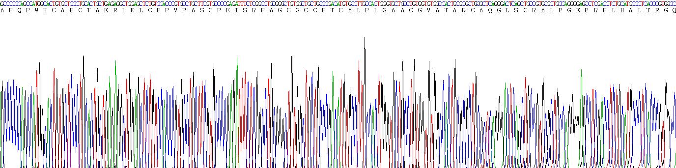 Eukaryotic Insulin Like Growth Factor Binding Protein 1 (IGFBP1)