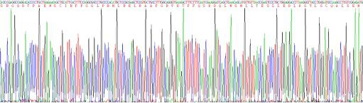 Eukaryotic Interleukin 10 (IL10)