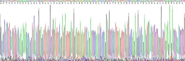 Eukaryotic Interleukin 2 (IL2)