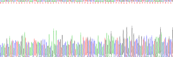 Eukaryotic Interleukin 4 (IL4)