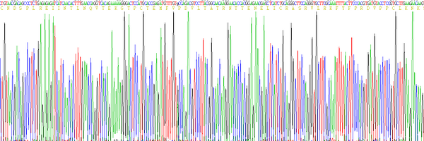 Eukaryotic Interleukin 4 (IL4)