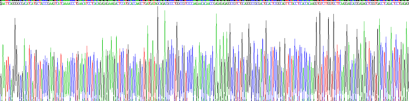 Eukaryotic Interleukin 4 (IL4)