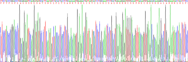 Eukaryotic Interleukin 6 (IL6)