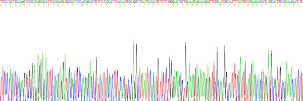 Eukaryotic Interleukin 6 (IL6)