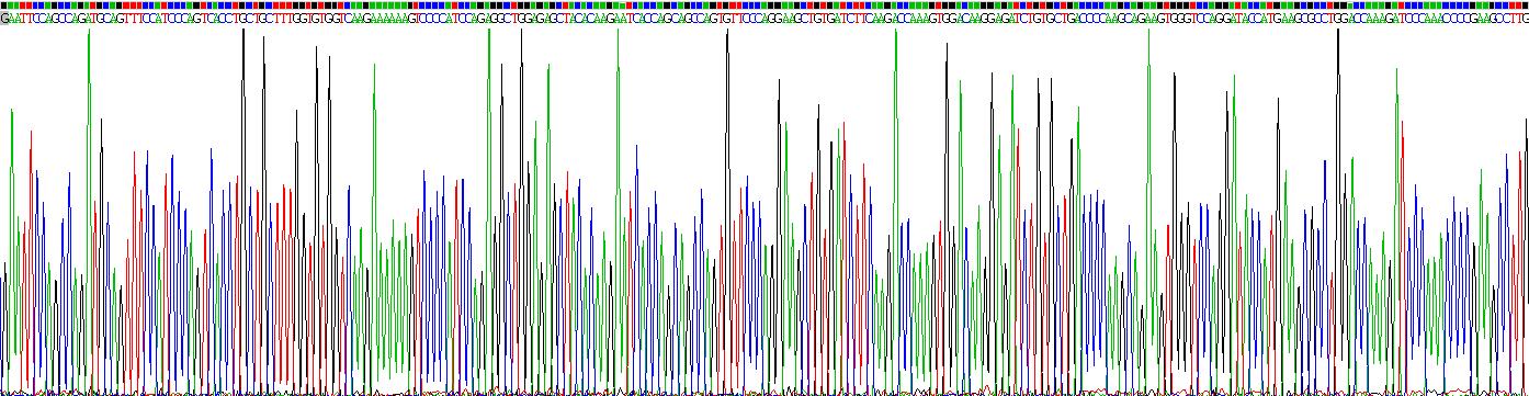 Eukaryotic Monocyte Chemotactic Protein 2 (MCP2)