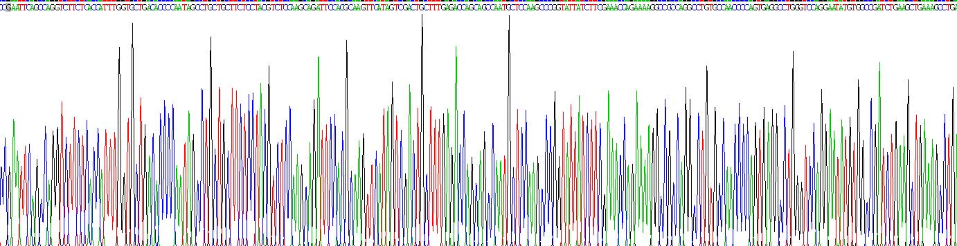 Eukaryotic Macrophage Inflammatory Protein 1 Alpha (MIP1a)