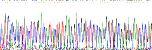 Eukaryotic Macrophage Inflammatory Protein 1 Alpha (MIP1a)