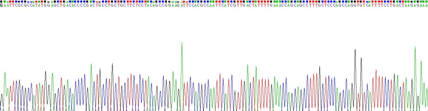 Eukaryotic Macrophage Inflammatory Protein 1 Alpha (MIP1a)