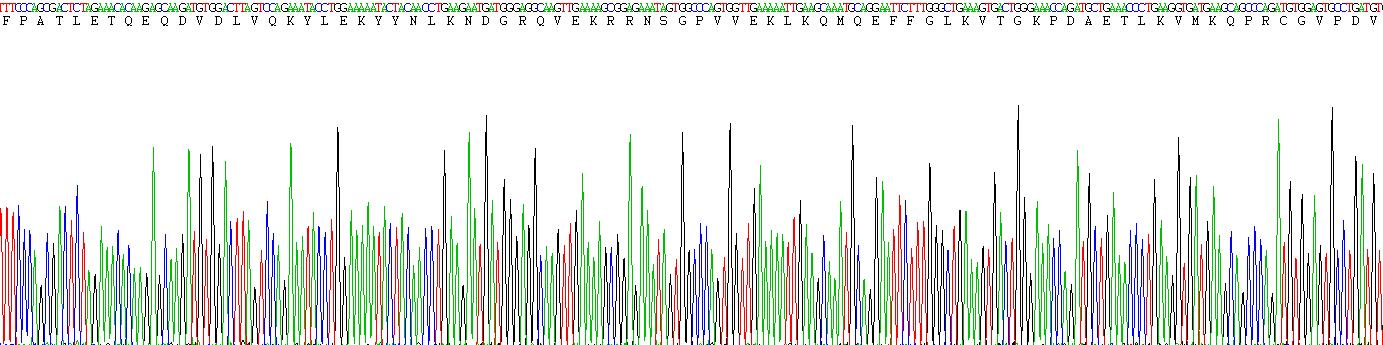 Eukaryotic Matrix Metalloproteinase 1 (MMP1)