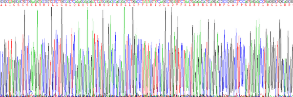 Eukaryotic Oncostatin M (OSM)