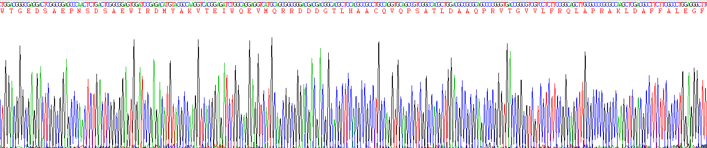 Eukaryotic Superoxide Dismutase 3, Extracellular (SOD3)