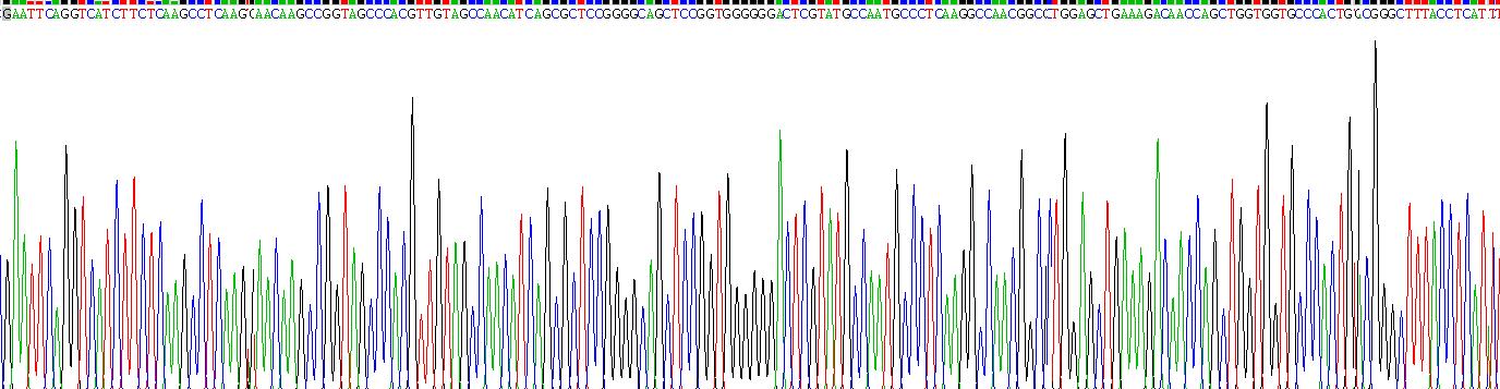 Eukaryotic Tumor Necrosis Factor Alpha (TNFa)