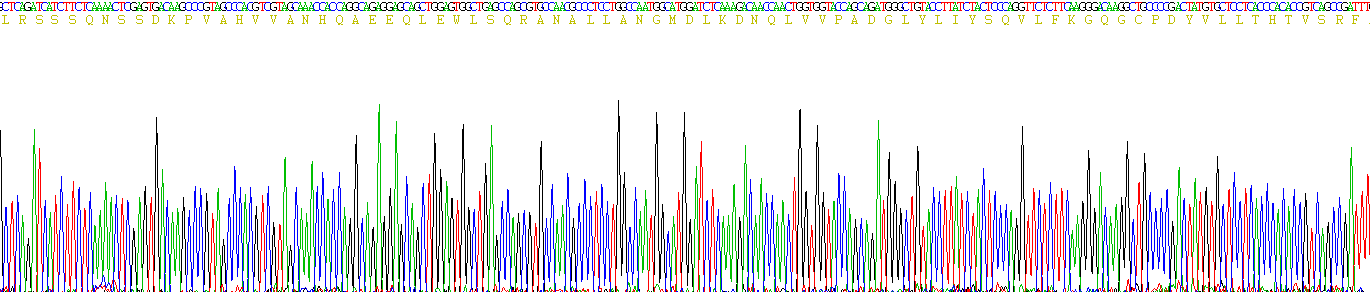 Eukaryotic Tumor Necrosis Factor Alpha (TNFa)