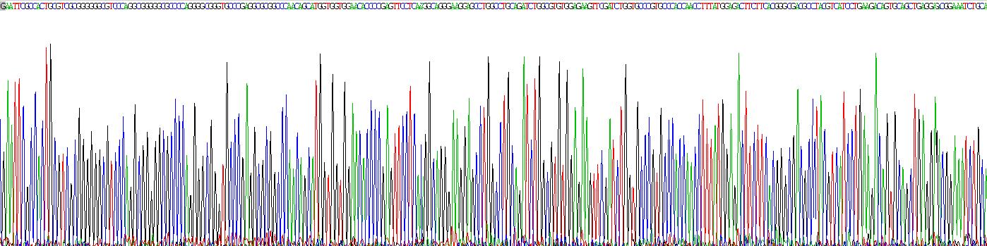 Eukaryotic Gelsolin (GSN)