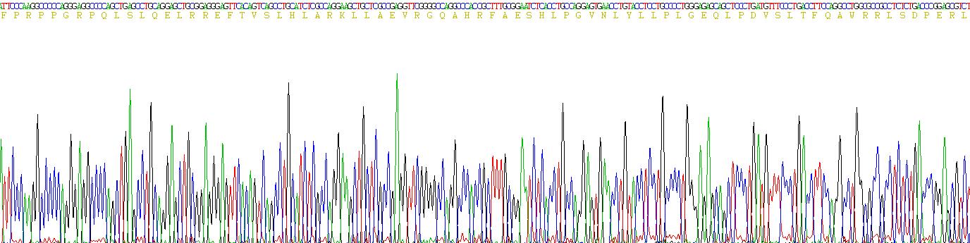 Eukaryotic Interleukin 27A (IL27A)