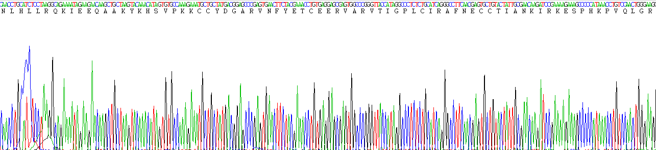 Eukaryotic Complement Component 5a (C5a)