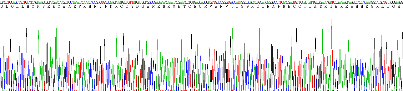 Eukaryotic Complement Component 5a (C5a)