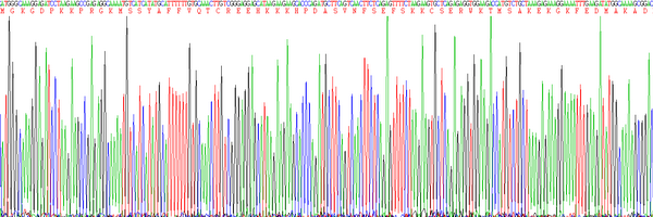 Eukaryotic High Mobility Group Protein 1 (HMGB1)